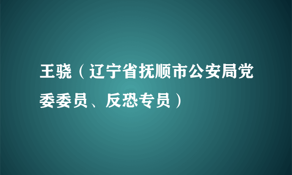 王骁（辽宁省抚顺市公安局党委委员、反恐专员）