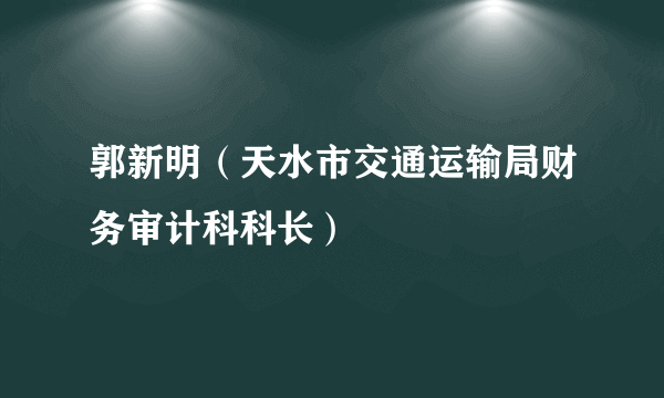 郭新明（天水市交通运输局财务审计科科长）