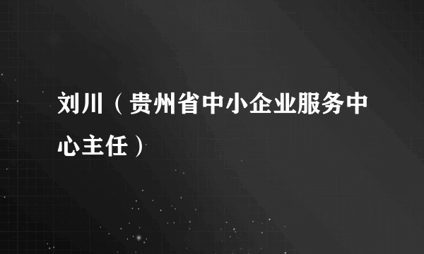 刘川（贵州省中小企业服务中心主任）