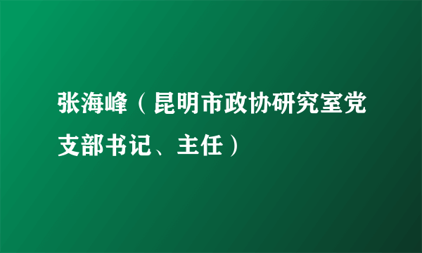 张海峰（昆明市政协研究室党支部书记、主任）