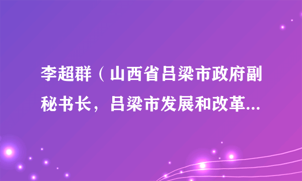 李超群（山西省吕梁市政府副秘书长，吕梁市发展和改革委员会党组成员、副主任）