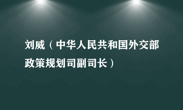 刘威（中华人民共和国外交部政策规划司副司长）