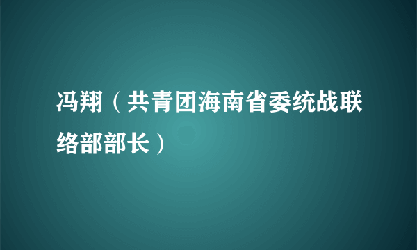 冯翔（共青团海南省委统战联络部部长）