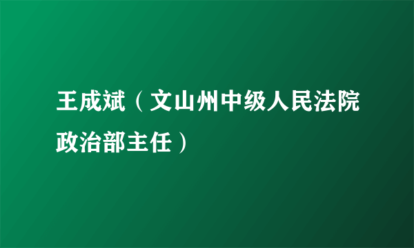 王成斌（文山州中级人民法院政治部主任）