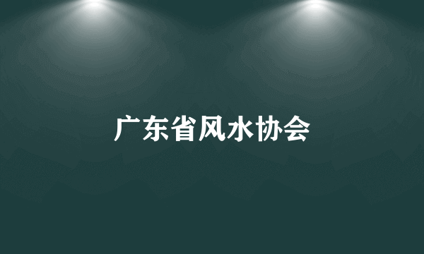 广东省风水协会