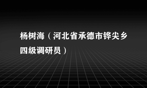 杨树海（河北省承德市铧尖乡四级调研员）