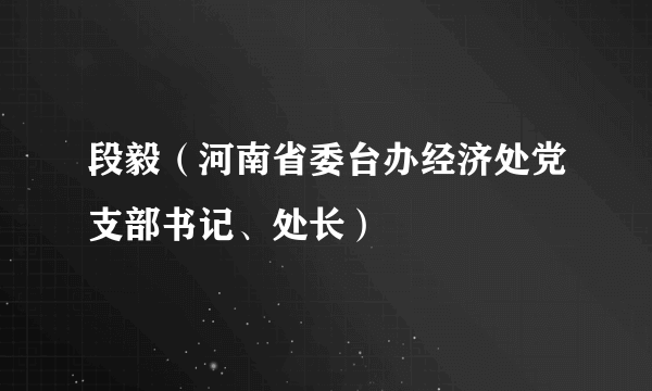 段毅（河南省委台办经济处党支部书记、处长）