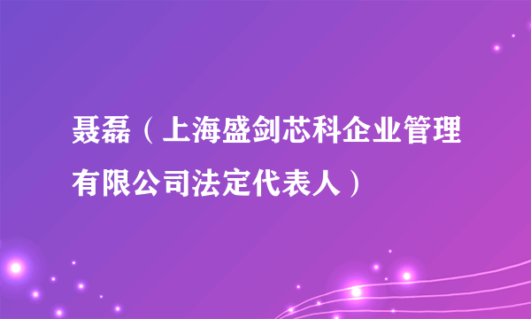 聂磊（上海盛剑芯科企业管理有限公司法定代表人）