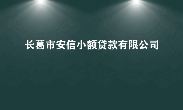 长葛市安信小额贷款有限公司