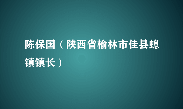 陈保国（陕西省榆林市佳县螅镇镇长）