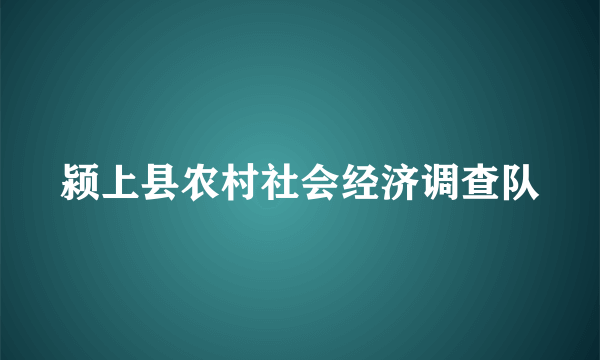 颍上县农村社会经济调查队