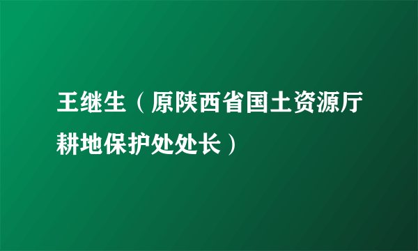 王继生（原陕西省国土资源厅耕地保护处处长）