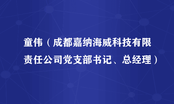 童伟（成都嘉纳海威科技有限责任公司党支部书记、总经理）