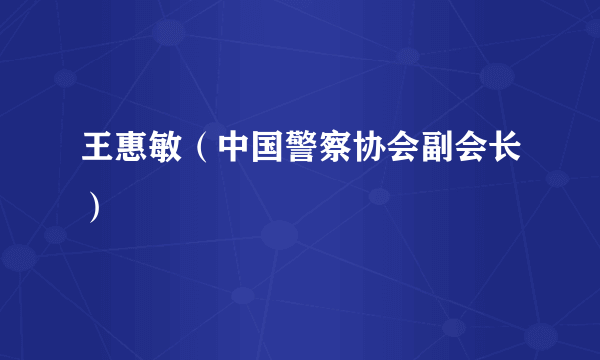 王惠敏（中国警察协会副会长）