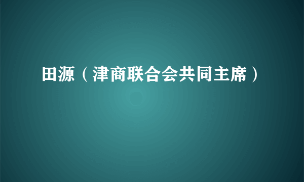 田源（津商联合会共同主席）