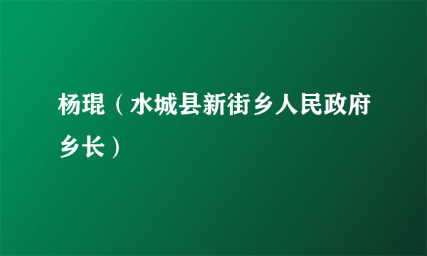 杨琨（水城县新街乡人民政府乡长）