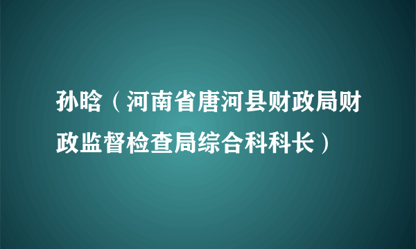 孙晗（河南省唐河县财政局财政监督检查局综合科科长）