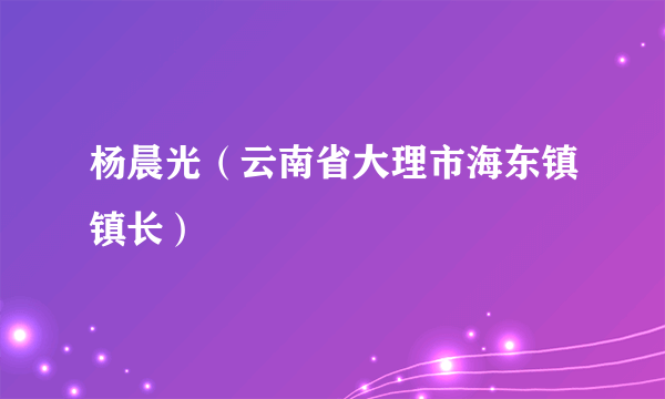 杨晨光（云南省大理市海东镇镇长）