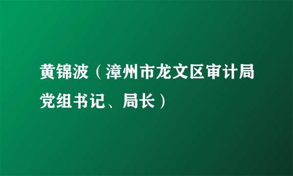 黄锦波（漳州市龙文区审计局党组书记、局长）