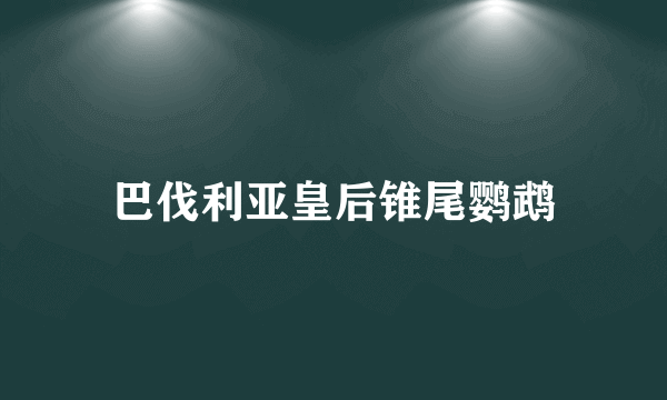 巴伐利亚皇后锥尾鹦鹉