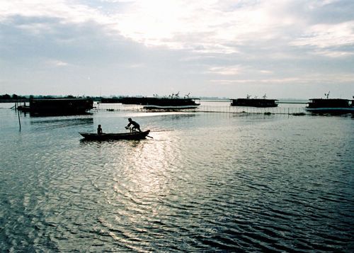 焦岗湖生态旅游度假区