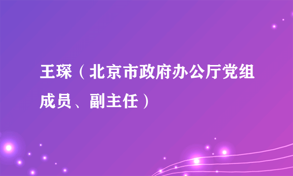 王琛（北京市政府办公厅党组成员、副主任）