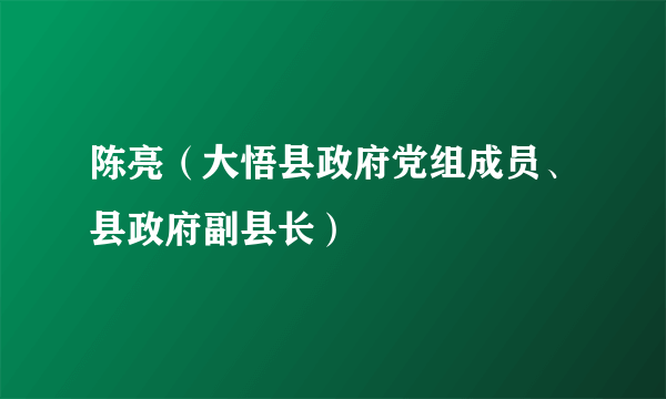 陈亮（大悟县政府党组成员、县政府副县长）