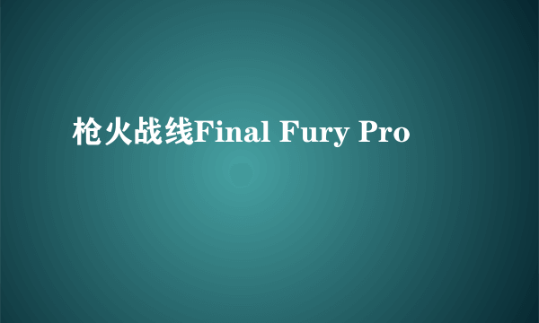 枪火战线Final Fury Pro