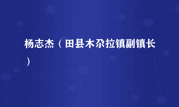 杨志杰（田县木尕拉镇副镇长）