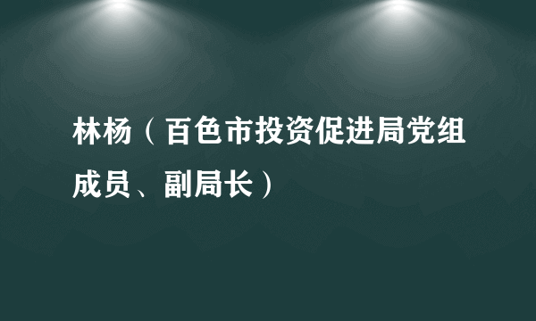 林杨（百色市投资促进局党组成员、副局长）