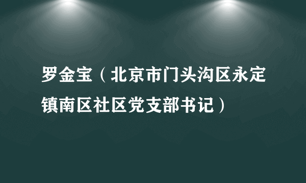 罗金宝（北京市门头沟区永定镇南区社区党支部书记）