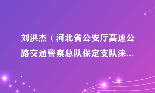 刘洪杰（河北省公安厅高速公路交通警察总队保定支队涞源大队三级高级警长）