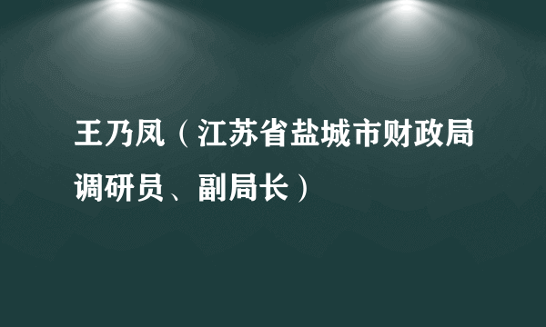 王乃凤（江苏省盐城市财政局调研员、副局长）