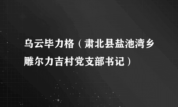 乌云毕力格（肃北县盐池湾乡雕尔力吉村党支部书记）