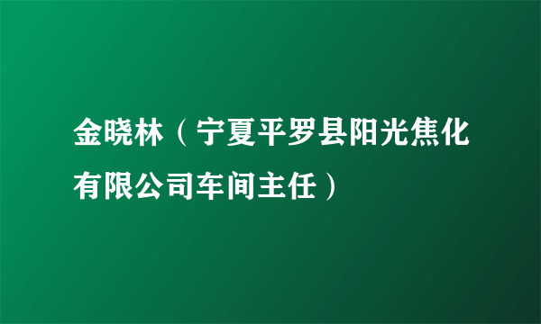 金晓林（宁夏平罗县阳光焦化有限公司车间主任）