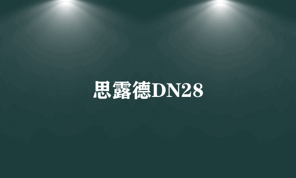 思露德DN28