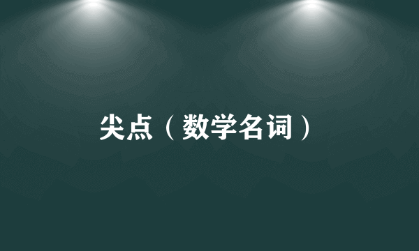 尖点（数学名词）