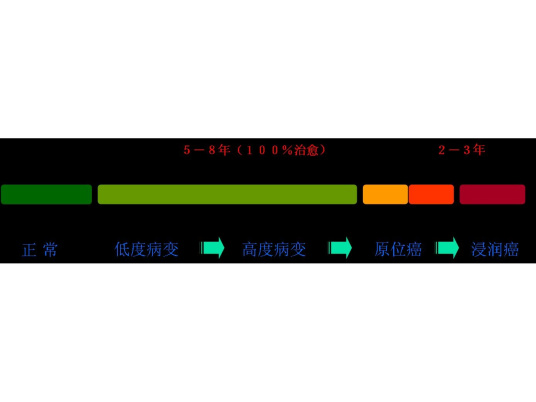 TCT宫颈癌筛查