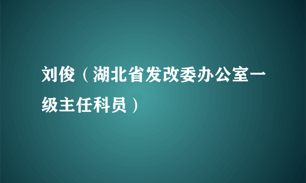 刘俊（湖北省发改委办公室一级主任科员）