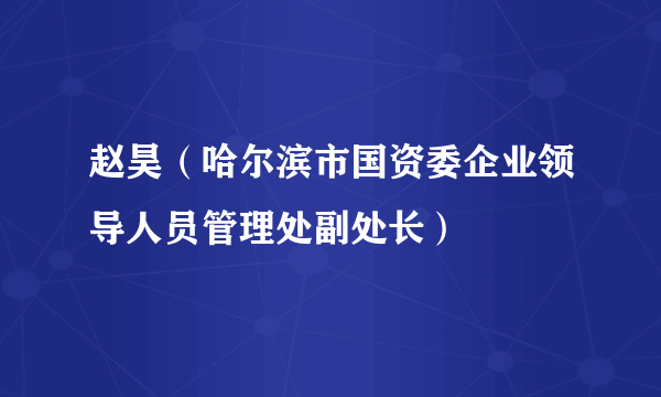 赵昊（哈尔滨市国资委企业领导人员管理处副处长）