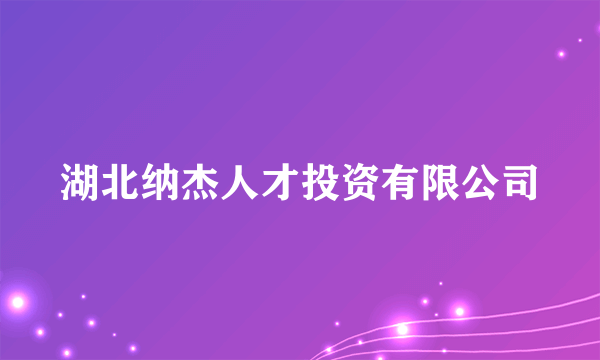 湖北纳杰人才投资有限公司