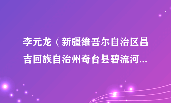 李元龙（新疆维吾尔自治区昌吉回族自治州奇台县碧流河镇党委副书记、镇长）