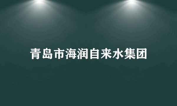 青岛市海润自来水集团