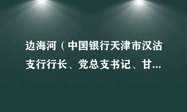 边海河（中国银行天津市汉沽支行行长、党总支书记、甘肃省农村信用社联合社副主任）