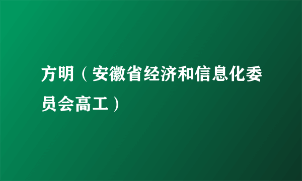 方明（安徽省经济和信息化委员会高工）