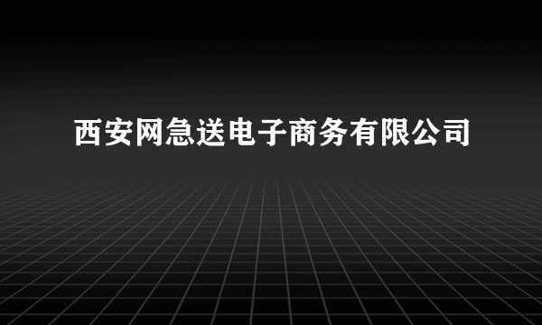 西安网急送电子商务有限公司