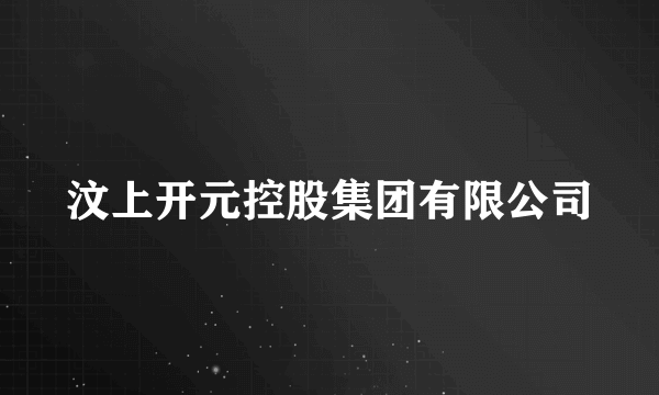 汶上开元控股集团有限公司