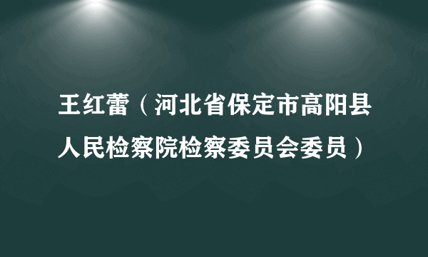 王红蕾（河北省保定市高阳县人民检察院检察委员会委员）