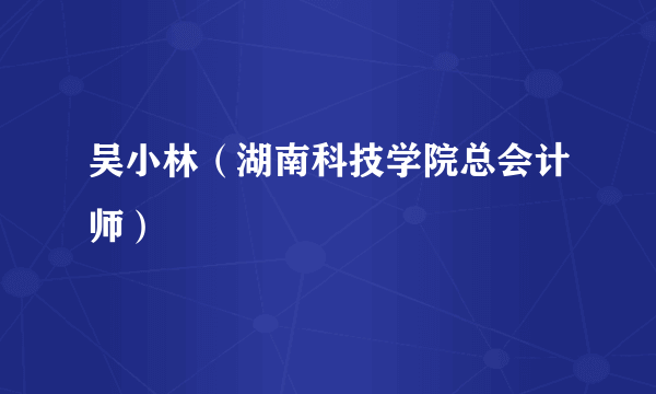 吴小林（湖南科技学院总会计师）