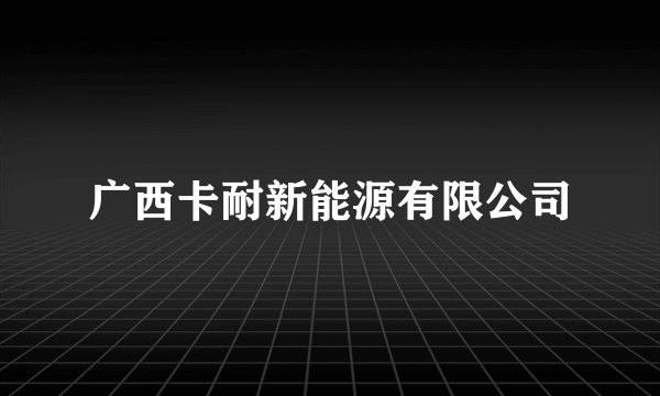 广西卡耐新能源有限公司